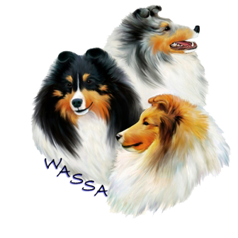 wassa